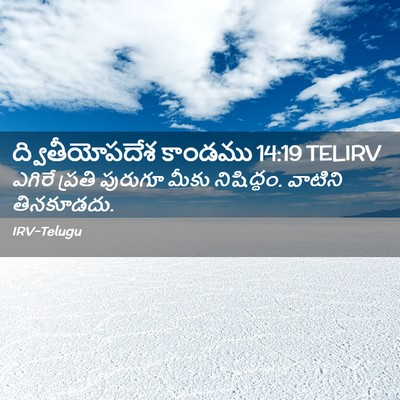 Picture 02 - ద్వితీయోపదేశ కాండము 14:19 TELIRV - ఎగిరే ప్రతి - Bible Verse Picture