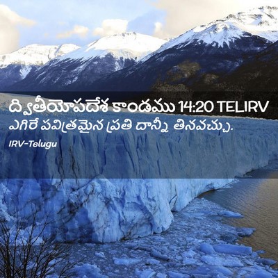 Picture 02 - ద్వితీయోపదేశ కాండము 14:20 TELIRV - ఎగిరే పవిత్రమైన - Bible Verse Picture