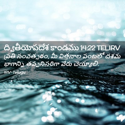 Picture 02 - ద్వితీయోపదేశ కాండము 14:22 TELIRV - ప్రతి సంవత్సరం, మీ - Bible Verse Picture