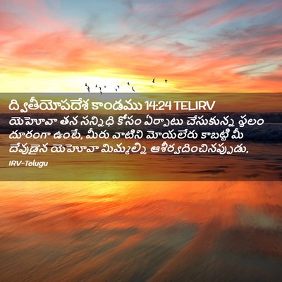 Picture 02 - ద్వితీయోపదేశ కాండము 14:24 TELIRV - యెహోవా తన సన్నిధి - Bible Verse Picture
