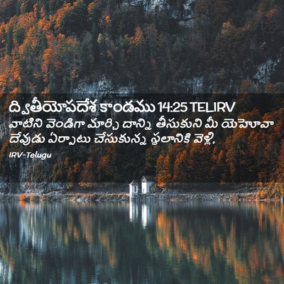 Picture 02 - ద్వితీయోపదేశ కాండము 14:25 TELIRV - వాటిని వెండిగా - Bible Verse Picture
