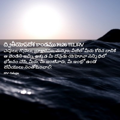 Picture 02 - ద్వితీయోపదేశ కాండము 14:26 TELIRV - ఎద్దులు, గొర్రెలు, - Bible Verse Picture