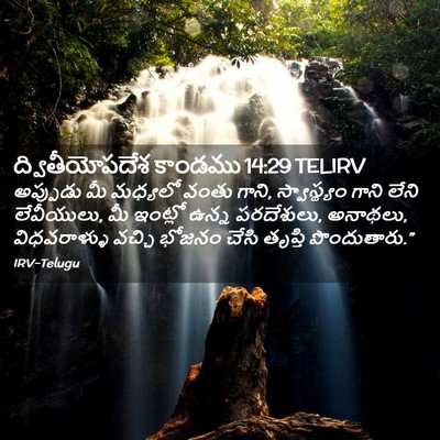 Picture 02 - ద్వితీయోపదేశ కాండము 14:29 TELIRV - అప్పుడు మీ మధ్యలో - Bible Verse Picture