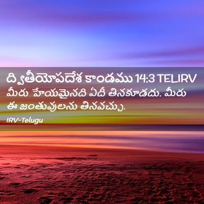 Picture 02 - ద్వితీయోపదేశ కాండము 14:3 TELIRV - మీరు హేయమైనది ఏదీ - Bible Verse Picture