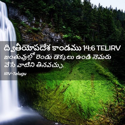 Picture 02 - ద్వితీయోపదేశ కాండము 14:6 TELIRV - జంతువుల్లో రెండు - Bible Verse Picture