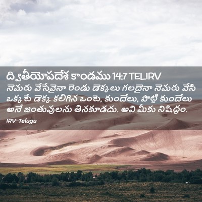 Picture 02 - ద్వితీయోపదేశ కాండము 14:7 TELIRV - నెమరు వేసేవైనా - Bible Verse Picture