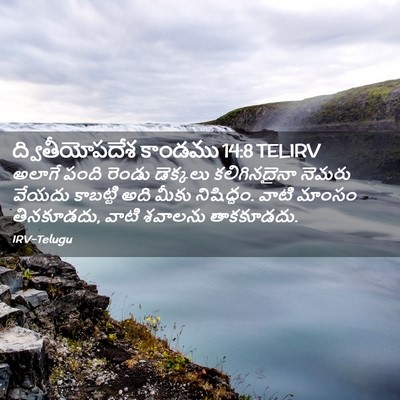 Picture 02 - ద్వితీయోపదేశ కాండము 14:8 TELIRV - అలాగే పంది రెండు - Bible Verse Picture