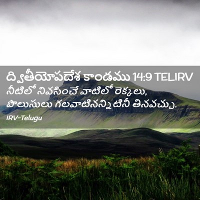 Picture 02 - ద్వితీయోపదేశ కాండము 14:9 TELIRV - నీటిలో నివసించే - Bible Verse Picture