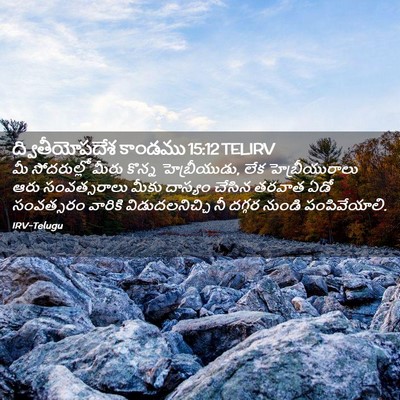 Picture 02 - ద్వితీయోపదేశ కాండము 15:12 TELIRV - మీ సోదరుల్లో మీరు - Bible Verse Picture