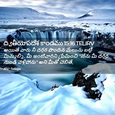 Picture 02 - ద్వితీయోపదేశ కాండము 15:16 TELIRV - అయితే వారు నీ - Bible Verse Picture