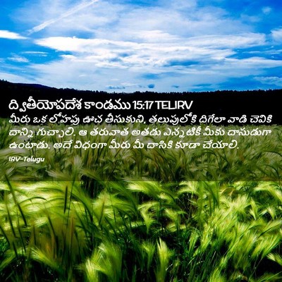 Picture 02 - ద్వితీయోపదేశ కాండము 15:17 TELIRV - మీరు ఒక లోహపు ఊచ - Bible Verse Picture