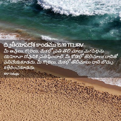 Picture 02 - ద్వితీయోపదేశ కాండము 15:19 TELIRV - మీ ఆవులు, గొర్రెలు, - Bible Verse Picture
