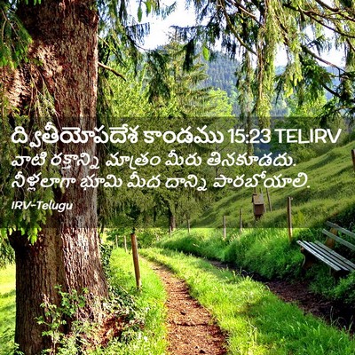 Picture 02 - ద్వితీయోపదేశ కాండము 15:23 TELIRV - వాటి రక్తాన్ని - Bible Verse Picture