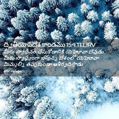 Picture 02 - ద్వితీయోపదేశ కాండము 15:4 TELIRV - మీరు స్వాధీనం - Bible Verse Picture