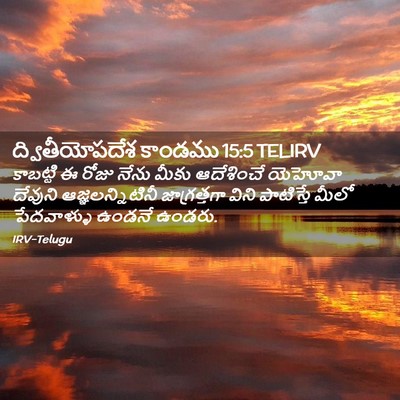 Picture 02 - ద్వితీయోపదేశ కాండము 15:5 TELIRV - కాబట్టి ఈ రోజు - Bible Verse Picture