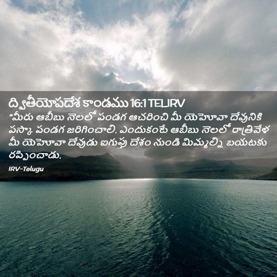 Picture 02 - ద్వితీయోపదేశ కాండము 16:1 TELIRV - “మీరు ఆబీబు నెలలో - Bible Verse Picture