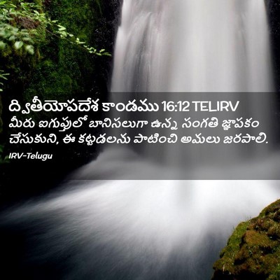 Picture 02 - ద్వితీయోపదేశ కాండము 16:12 TELIRV - మీరు ఐగుప్తులో - Bible Verse Picture