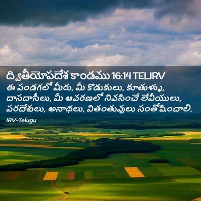 Picture 02 - ద్వితీయోపదేశ కాండము 16:14 TELIRV - ఈ పండగలో మీరు, మీ - Bible Verse Picture