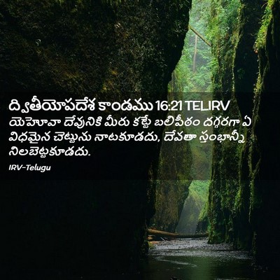 Picture 02 - ద్వితీయోపదేశ కాండము 16:21 TELIRV - యెహోవా దేవునికి - Bible Verse Picture