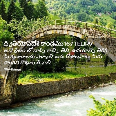 Picture 02 - ద్వితీయోపదేశ కాండము 16:7 TELIRV - అదే స్థలం లో - Bible Verse Picture