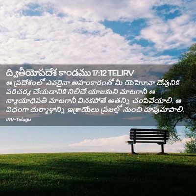 Picture 02 - ద్వితీయోపదేశ కాండము 17:12 TELIRV - ఆ ప్రదేశంలో - Bible Verse Picture