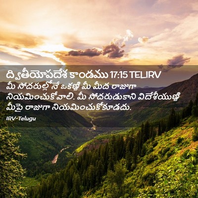 Picture 02 - ద్వితీయోపదేశ కాండము 17:15 TELIRV - మీ సోదరుల్లోనే - Bible Verse Picture