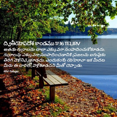 Picture 02 - ద్వితీయోపదేశ కాండము 17:16 TELIRV - అతడు గుర్రాలను - Bible Verse Picture