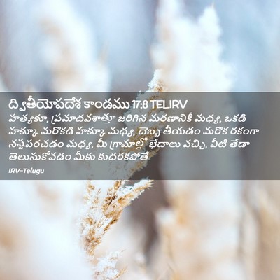 Picture 02 - ద్వితీయోపదేశ కాండము 17:8 TELIRV - హత్యకూ, - Bible Verse Picture