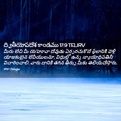 Picture 02 - ద్వితీయోపదేశ కాండము 17:9 TELIRV - మీరు లేచి మీ - Bible Verse Picture