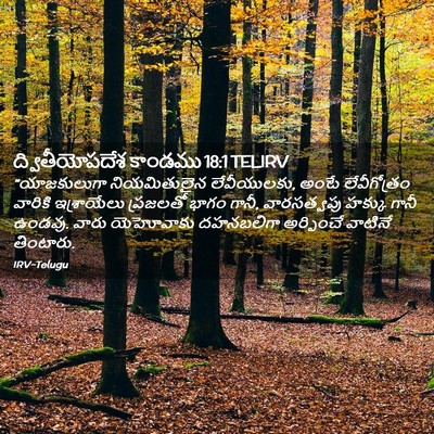 Picture 02 - ద్వితీయోపదేశ కాండము 18:1 TELIRV - “యాజకులుగా - Bible Verse Picture