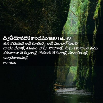 Picture 02 - ద్వితీయోపదేశ కాండము 18:10 TELIRV - తన కొడుకుని గానీ - Bible Verse Picture