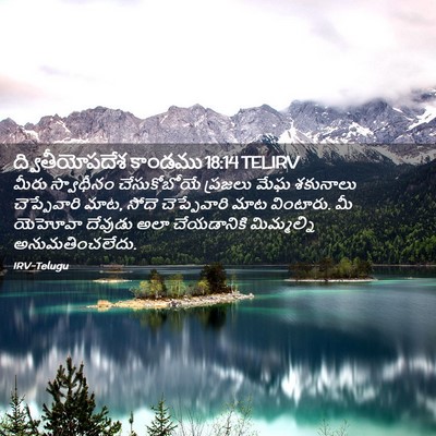 Picture 02 - ద్వితీయోపదేశ కాండము 18:14 TELIRV - మీరు స్వాధీనం - Bible Verse Picture