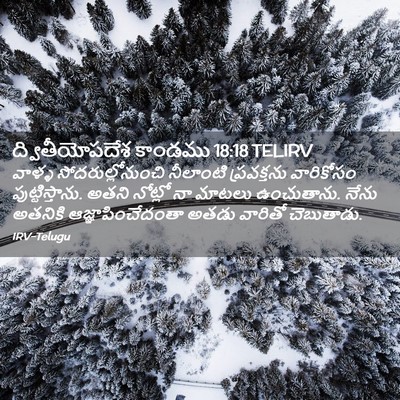 Picture 02 - ద్వితీయోపదేశ కాండము 18:18 TELIRV - వాళ్ళ - Bible Verse Picture