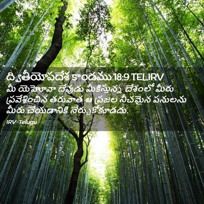 Picture 02 - ద్వితీయోపదేశ కాండము 18:9 TELIRV - మీ యెహోవా దేవుడు - Bible Verse Picture