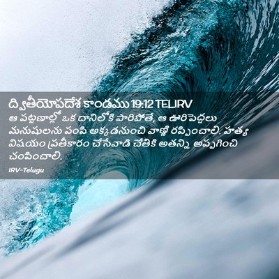 Picture 02 - ద్వితీయోపదేశ కాండము 19:12 TELIRV - ఆ పట్టణాల్లో ఒక - Bible Verse Picture