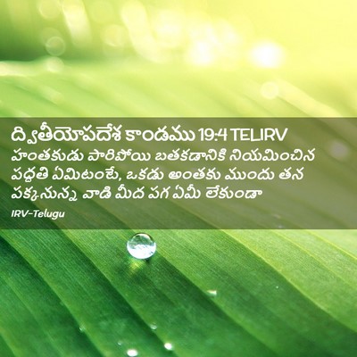 Picture 02 - ద్వితీయోపదేశ కాండము 19:4 TELIRV - హంతకుడు పారిపోయి - Bible Verse Picture