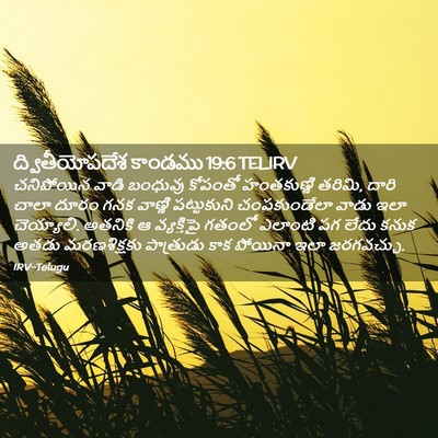 Picture 02 - ద్వితీయోపదేశ కాండము 19:6 TELIRV - చనిపోయిన వాడి - Bible Verse Picture