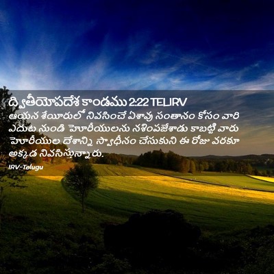 Picture 02 - ద్వితీయోపదేశ కాండము 2:22 TELIRV - ఆయన శేయీరులో - Bible Verse Picture