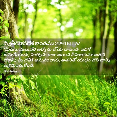 Picture 02 - ద్వితీయోపదేశ కాండము 2:24 TELIRV - “మీరు బయలుదేరి - Bible Verse Picture