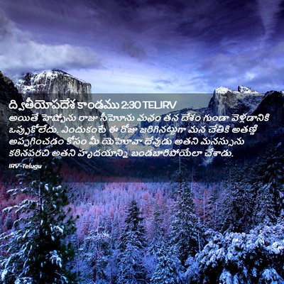 Picture 02 - ద్వితీయోపదేశ కాండము 2:30 TELIRV - అయితే హెష్బోను - Bible Verse Picture