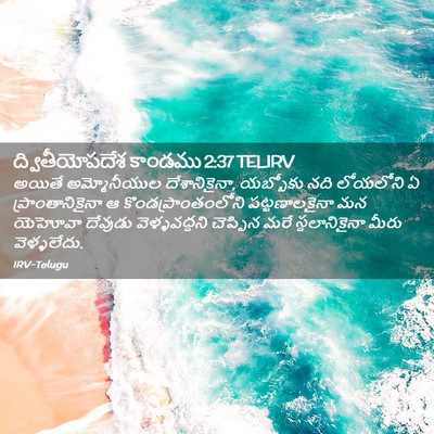 Picture 02 - ద్వితీయోపదేశ కాండము 2:37 TELIRV - అయితే అమ్మోనీయుల - Bible Verse Picture