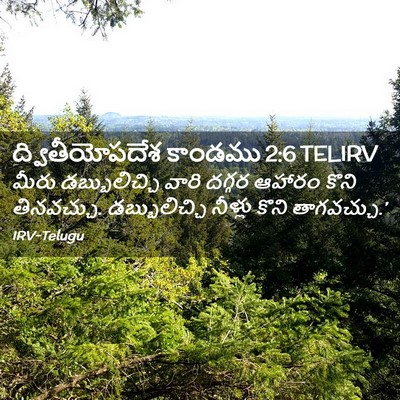 Picture 02 - ద్వితీయోపదేశ కాండము 2:6 TELIRV - మీరు డబ్బులిచ్చి - Bible Verse Picture