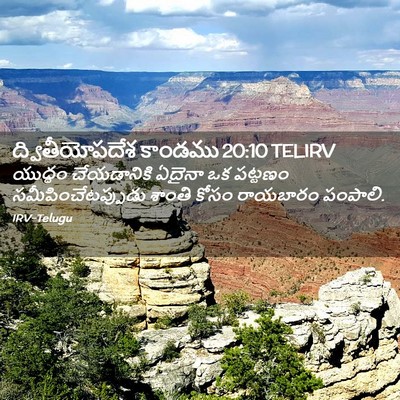 Picture 02 - ద్వితీయోపదేశ కాండము 20:10 TELIRV - యుద్ధం చేయడానికి - Bible Verse Picture
