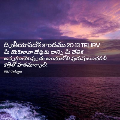 Picture 02 - ద్వితీయోపదేశ కాండము 20:13 TELIRV - మీ యెహోవా దేవుడు - Bible Verse Picture