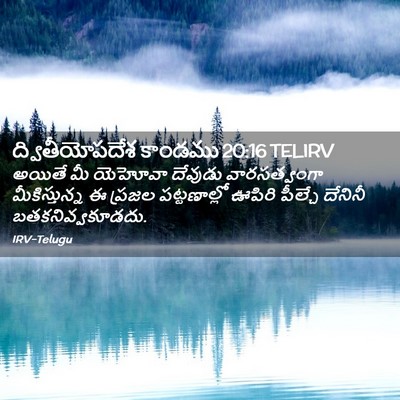 Picture 02 - ద్వితీయోపదేశ కాండము 20:16 TELIRV - అయితే మీ యెహోవా - Bible Verse Picture