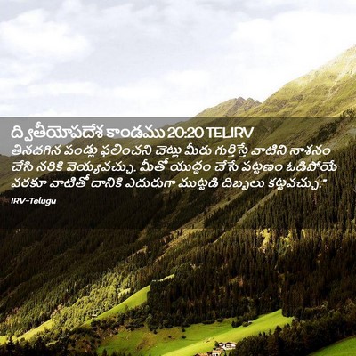 Picture 02 - ద్వితీయోపదేశ కాండము 20:20 TELIRV - తినదగిన పండ్లు - Bible Verse Picture