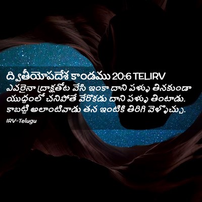 Picture 02 - ద్వితీయోపదేశ కాండము 20:6 TELIRV - ఎవరైనా ద్రాక్షతోట - Bible Verse Picture