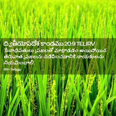 Picture 02 - ద్వితీయోపదేశ కాండము 20:9 TELIRV - సేనాధిపతులు - Bible Verse Picture