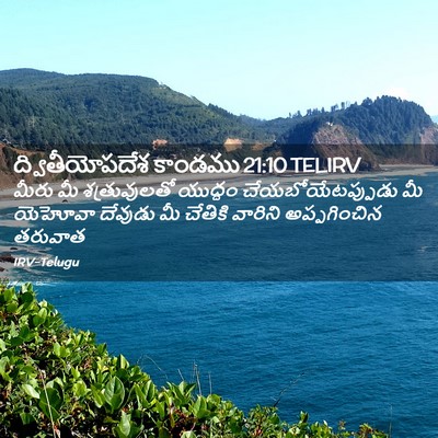 Picture 02 - ద్వితీయోపదేశ కాండము 21:10 TELIRV - మీరు మీ - Bible Verse Picture