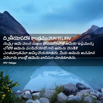 Picture 02 - ద్వితీయోపదేశ కాండము 21:14 TELIRV - నువ్వు ఆమె వలన - Bible Verse Picture